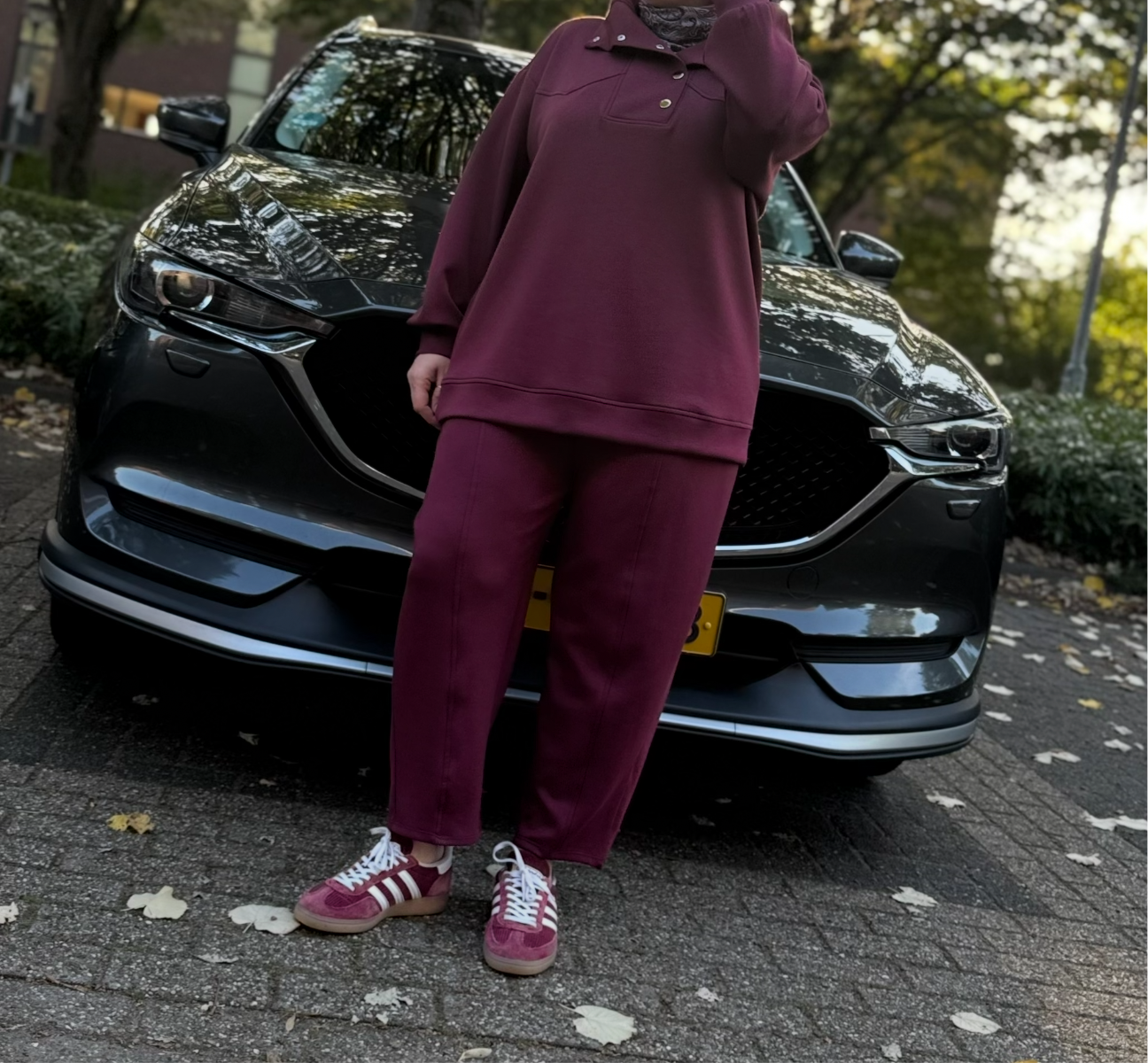 Molly Twinset bordo